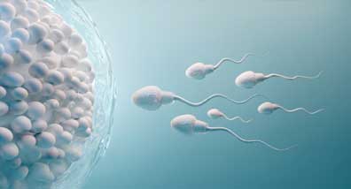 Sperm Testi (Spermiogram) Nedir?