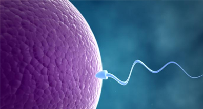 Kadın ve Erkeklerde infertilite Belirtileri Ve Semptomları